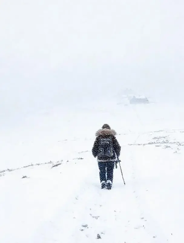 雪山来客封面海报